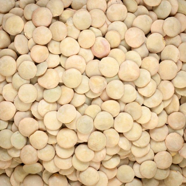 Export Quality Whole Dried Brown lentils Bulk Quantity Available Fresh Brown lentils Professionally Packed For Buyers - Image 4