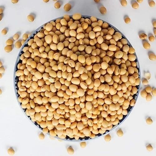 soy beans Non GMO dried cheap soybeans kernels - Image 3