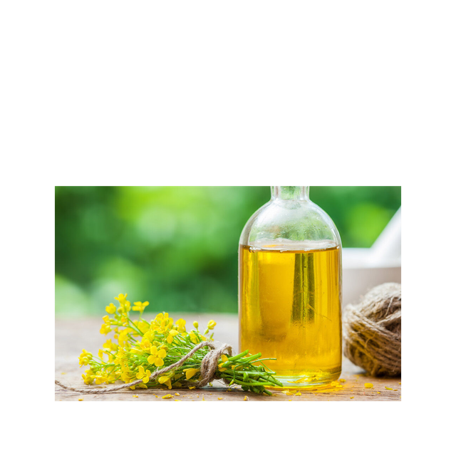 Bulk purchase canola oil prepared for premium quality trade and steady availability - Image 5