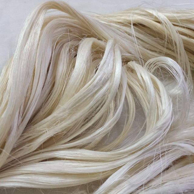 High Density Sisal Fiber For Industrial Fabrication Premium Sisal Fiber Direct Producer Source - Image 3