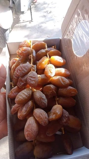 Dates Prumim Deglet Nour - Image 3