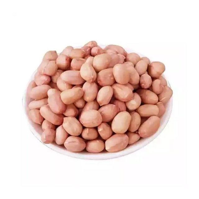 Bulk supply Peanuts wholesale fast delivery premium quality exporter - Image 2