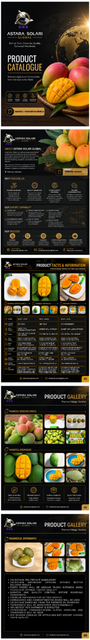 Fresh Gedong Mango (Citrusy Sweet) - Image 1