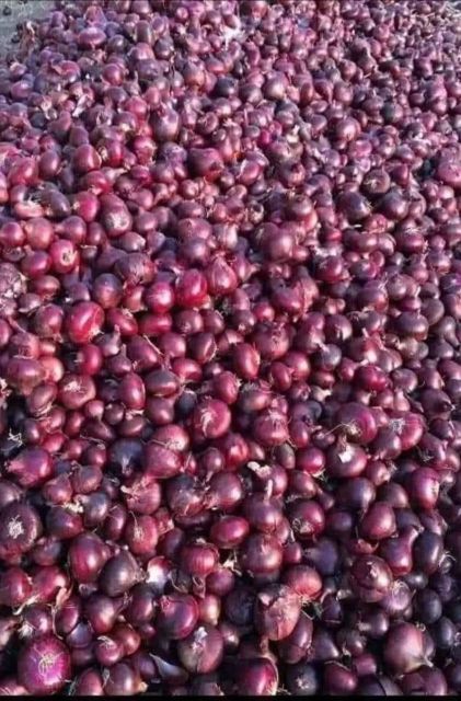 Red onions - Image 4
