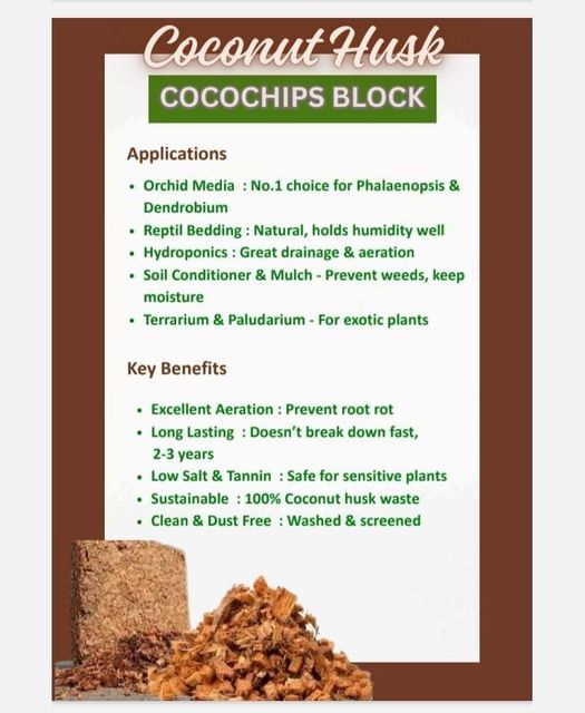 COCOCHIPS BLOCK - Image 3