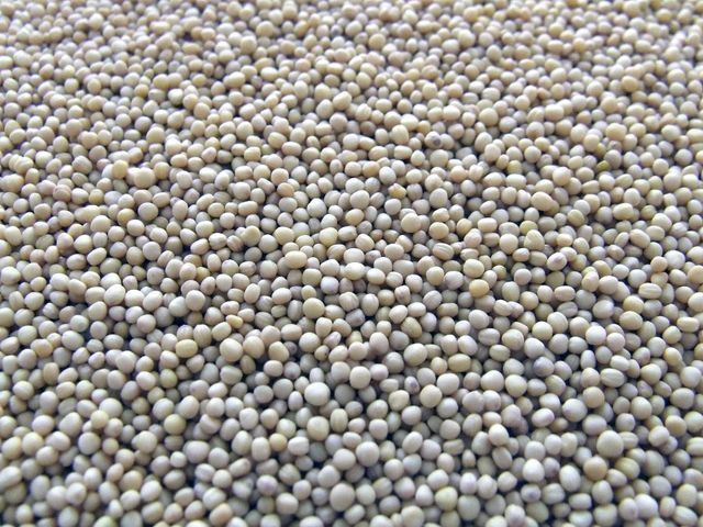 Top Quality Mustard Seeds for sale - Image 4