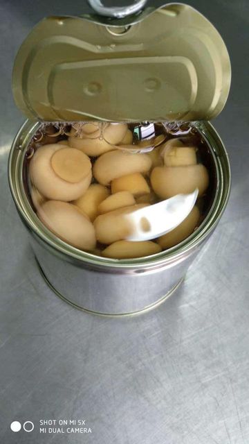 Canned mushrooms Dry Weight 200g Net Weight 425g Packaging Type Easy Open - Image 1