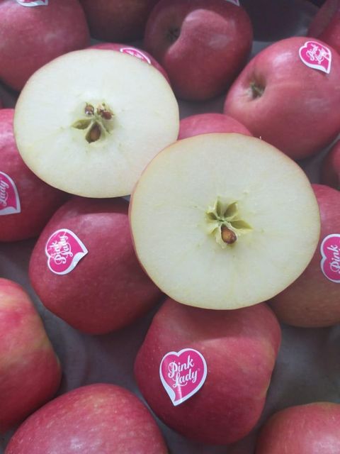 Top Quality Pink Lady Apples Available - Image 1
