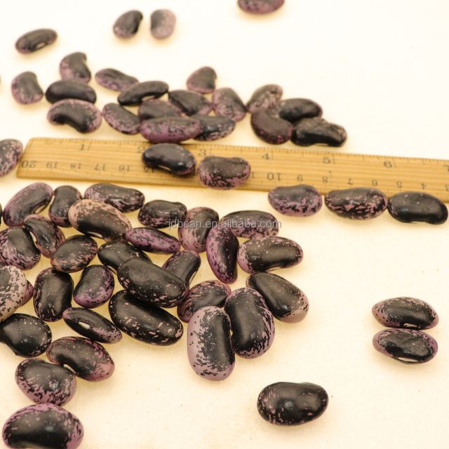 Black And Pinto Beans Yunnan Dried Large Black Speckled Kidney Bean - Image 4