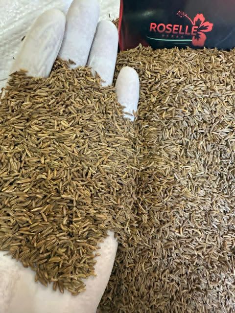 Caraway seeds Origin Egypt Purity 98% – 99.5% Color Brown To Dark Brown Foreign Matter Max 0.5% – 2% Odor Aromatic, Characteristic - Image 3