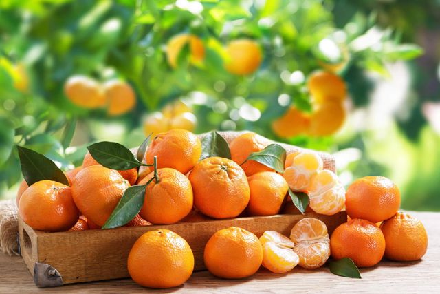 Organic Fresh Navel Orange MandarinTop Quality Fresh Mandarin Oranges High PrOrange and Citrus Fruit Wholesale - Image 1