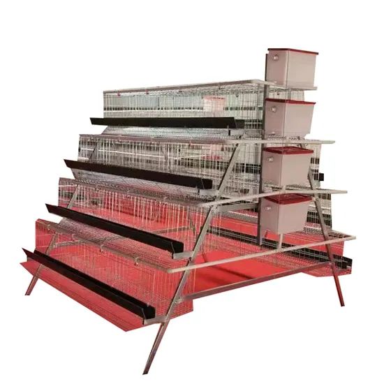 Automatic Egg Layer Chicken Coop for Poultry Farming - Image 5