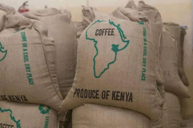 Arabica Coffee - Image 1