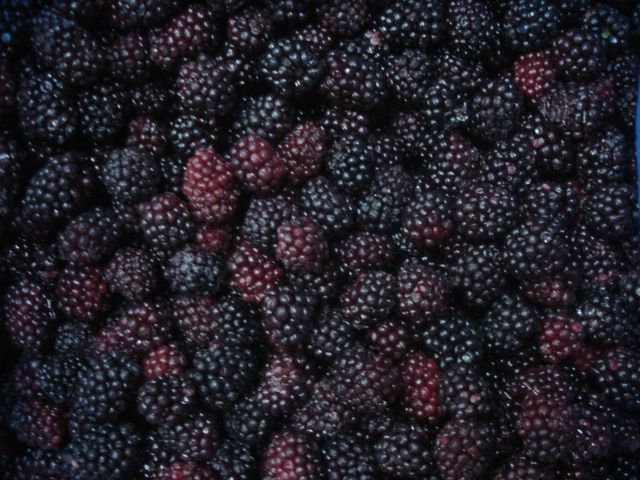 Hot Selling IQF Blackberry Frozen Blackberry Fruits Content no Address no Shape Round Style FROZEN Packaging Bulk Weight (kg) - Image 3