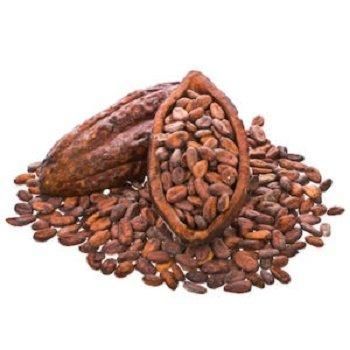 DRY COCOA BEANS - Image 2