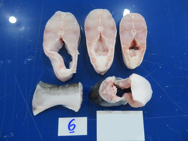 Pangasius Steak - Image 3