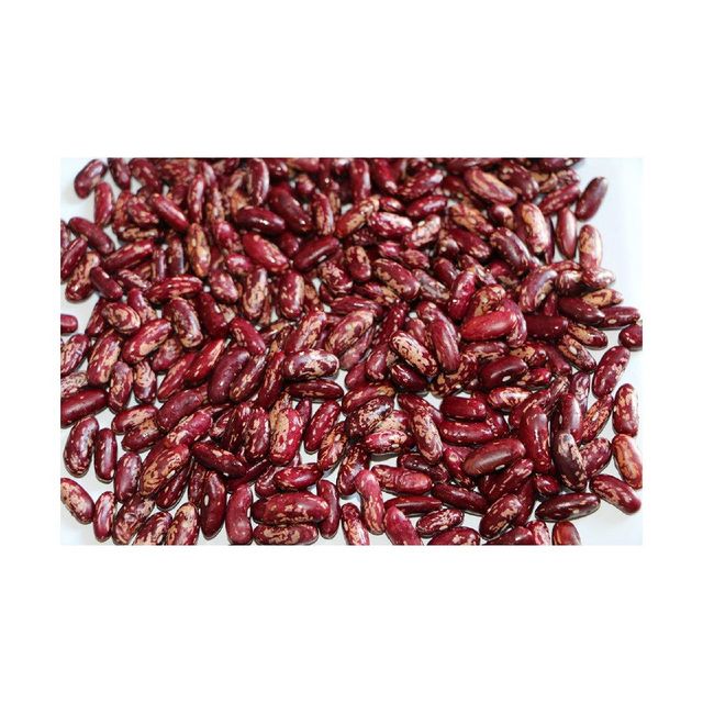 Bulk sugar beans sourced from trusted agricultural producers - Image 3