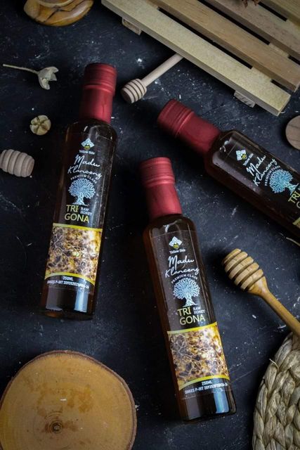 Premium Indonesian Trigona Stingless Bee Honey - Image 4