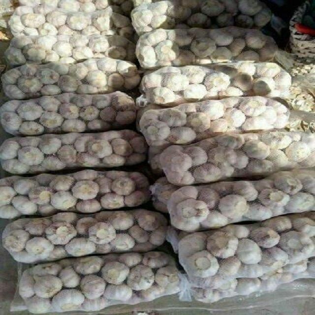 Pure Natural Fresh White Garlic Delivered With Premium Bulb Selection And Export Packing Standards For Import Buyer - Image 1