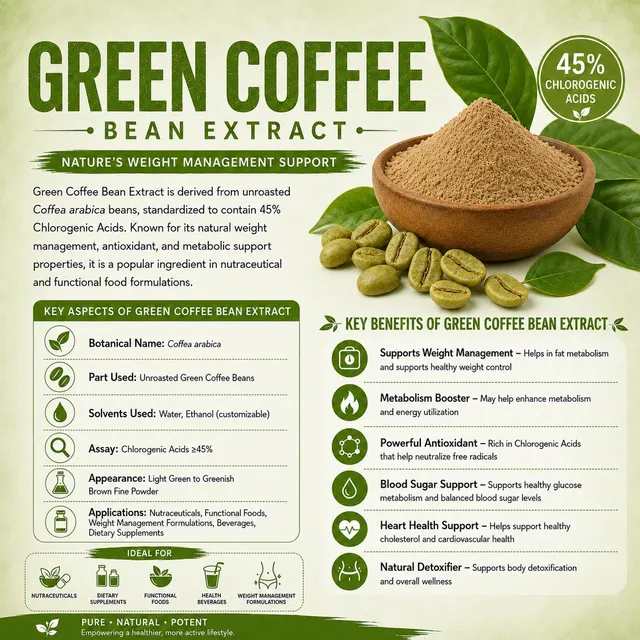 Pure Green Coffee Bean Extract – Natural Coffea arabica Botanical Extract - Image 1