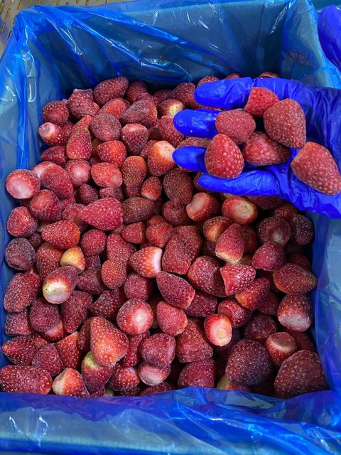 IQF WHOLE STRAWBERRY Origin Egypt Product Type Fruits & Vegetables - Image 3