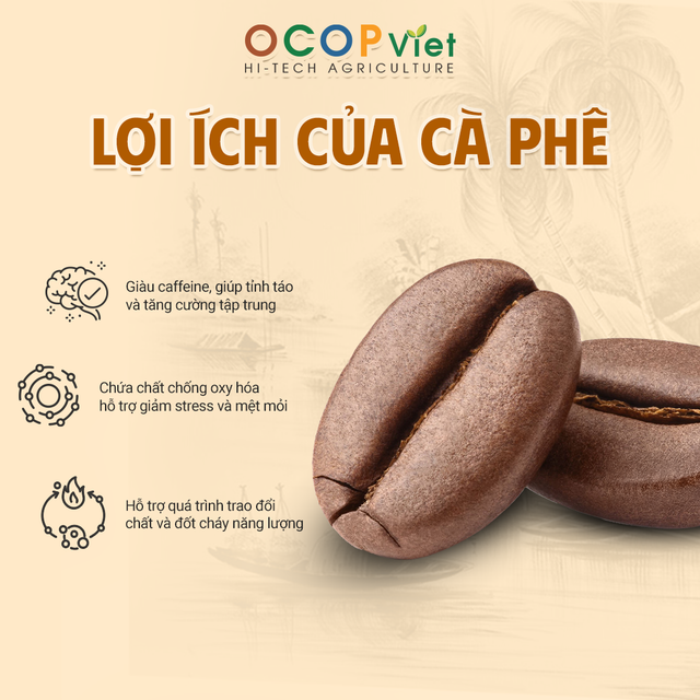 Cà phê Robusta - Robusta Coffee – product photo 3, product detail gallery