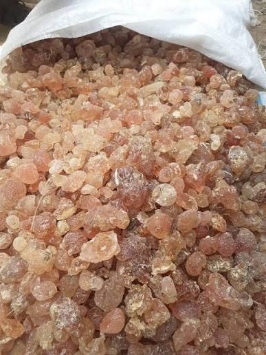 Gum Arabic - Image 1