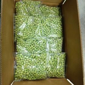 Premium Green Mung Beans Wholesale Bulk Supply Export Quality for Food Processing and Retail - Image 1