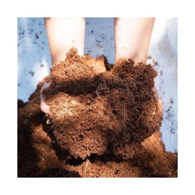COCO PEAT LOW EC - Image 4