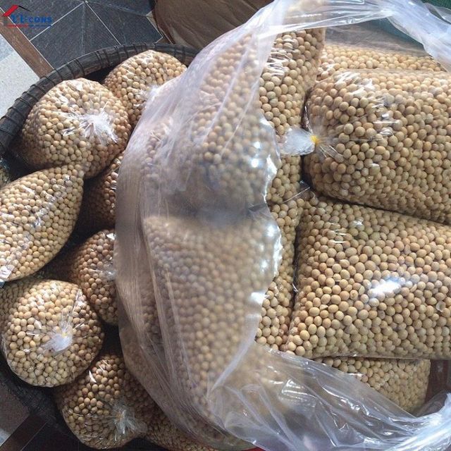 NON GMO Soya Beans for Sale Max Yellow Gift Crop Bulk Style Packing Packaging Food YZF Color Weight Shelf Origin - Image 3