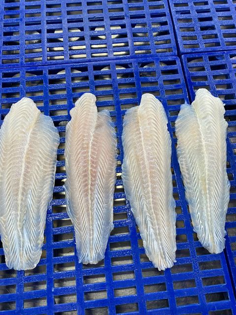 Hot price wholesales Pangasius fillet fish frozen fish seafood from Vietnam - Image 2