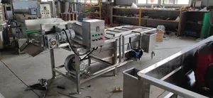 Automatic Food Processing Line Fruit Vegetable Bubble Cleaning Machine - Image 5