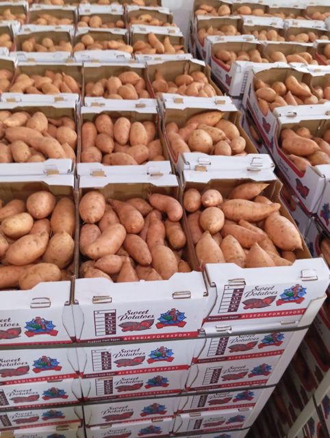 Sweet potatoes - Image 5