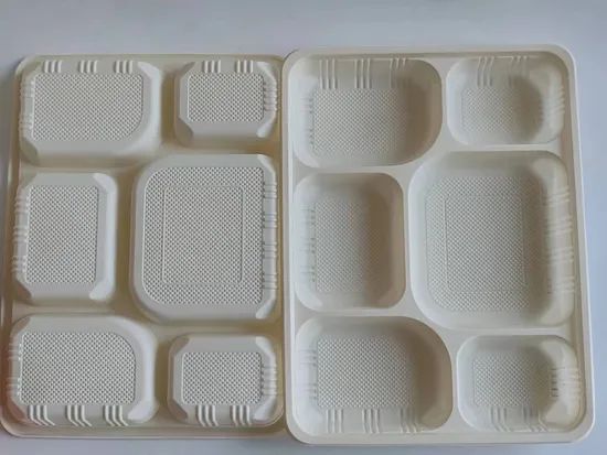 6 Compartments Compostable Disposable Cornstarch Tableware Lunch Takeout Box - Image 4