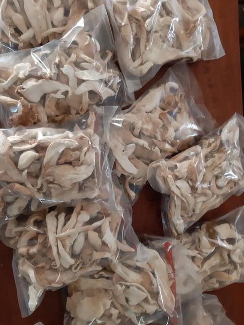 mushrooms Address Douala Type fresh and dried Quality high quality Delivery Locations Yaoundé, Douala, Buea Form Fresh Whole Mushrooms, Dried Mushrooms - Image 1