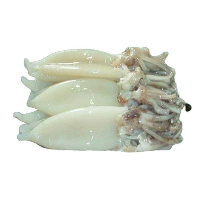 Frozen Fresh Illex Squid Expertly Frozen After Harvest Preserving Natural Taste For Wholesale Seafood Buyer - Image 1