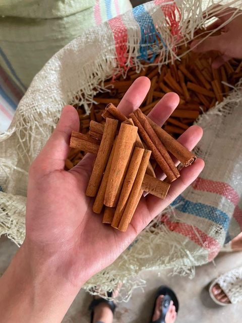 Premium Indonesian Cassia Cinnamon (Sticks & Powder) – Export Grade from Medan - Image 1