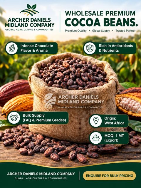 Premium Cocoa Beans – Grade 1, Fermented & Sun-Dried | Bulk Wholesale Supply - Image 1