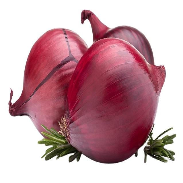 Best Selling And High Quality Wonderful Delicious Fresh Vegetable Red Onion at Wholesale Prices for Worldwide Export From India – product photo 5, product detail gallery