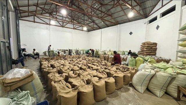 Arabica Gayo Coffee Green Beans Specialty – product photo 5, product detail gallery