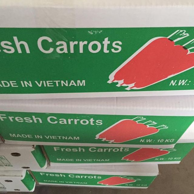 Fresh Carrots Carrotfresh Carrot Price Export Wholesale Packing 4.5kg Net Fresh Vegetables Premium Carrot Year Round 1 Cont 20ft - Image 3
