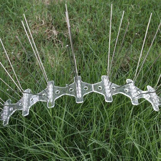Bird Spike Solutions for Pigeon Prevention and Control Weight 128g State Solid Capacity 100 Origin China Ize 50*5*11cm Pest Type - Image 2