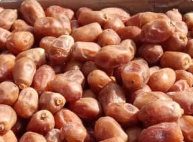 Zahedi Dates - Image 1