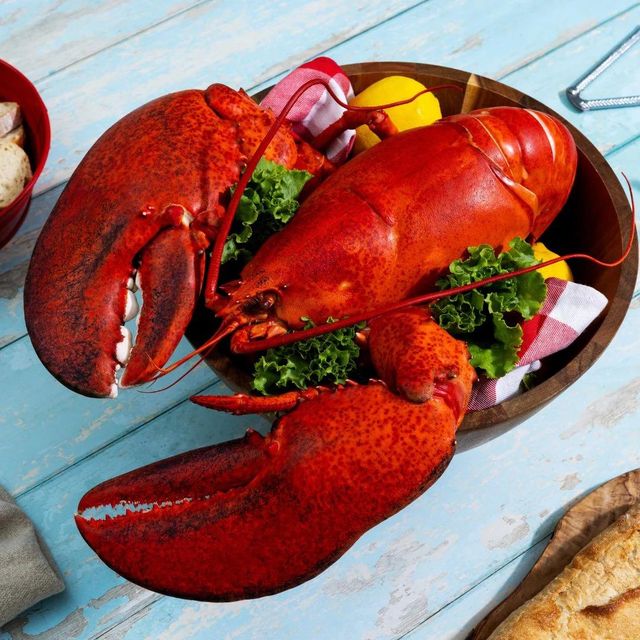 Whole Frozen Lobster and Tails Premium Grade Of Product Quality Export Manufacture Market best quality - Image 5