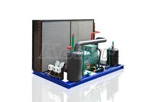 Walk in Chiller Cold Room for Long Time Storage - Image 4