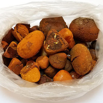 Ox,Cow,Cattle, Gallstones Size Large Stones Type COW GALLSTONE Color Yellow Golden Orange Color Bilirubin Content Not Less Than 35% - Image 2