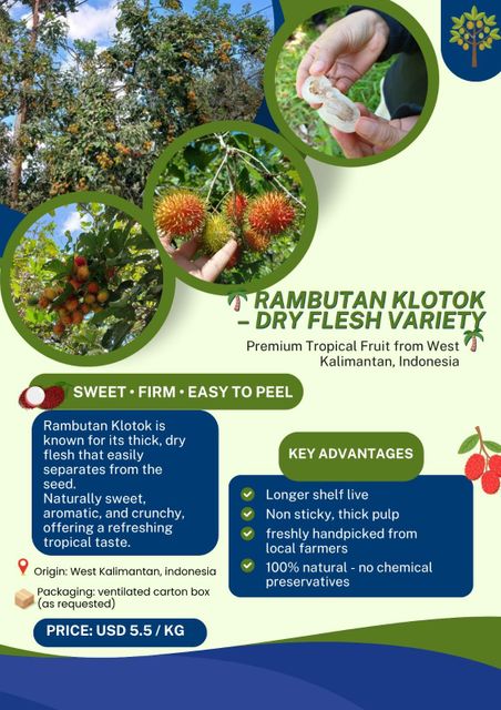 Rambutan Klotok Season October – January Fruit Size 4–6 Cm Per Fruit Condition Fresh (not Dried) Flavor Naturally Sweet And - Image 1