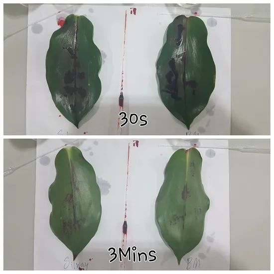 Hydrolysis-Stable Silicone Spreader Long-Lasting Effect for Insecticides & Fungicides - Image 2