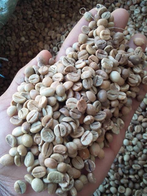 coffee beans - Image 1