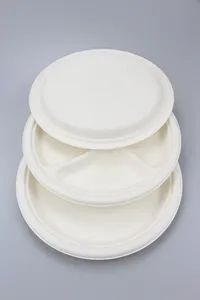 Disposable Bagasse Plate Biodegradable Compostable Sugarcane Tableware Plate - Image 4